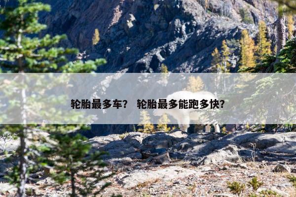 轮胎最多车？ 轮胎最多能跑多快？