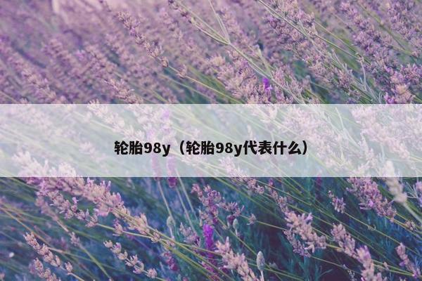 轮胎98y（轮胎98y代表什么）