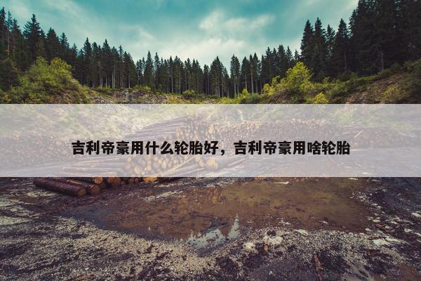 吉利帝豪用什么轮胎好，吉利帝豪用啥轮胎