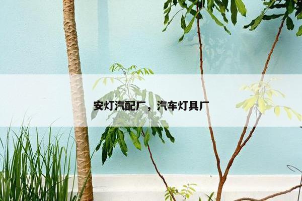 安灯汽配厂，汽车灯具厂