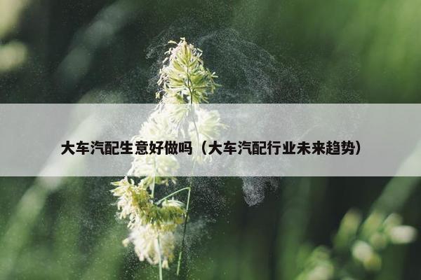 大车汽配生意好做吗（大车汽配行业未来趋势）