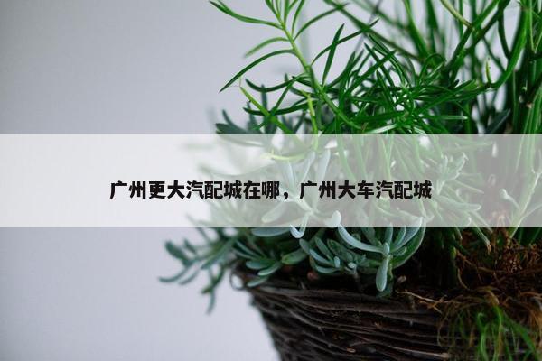 广州更大汽配城在哪，广州大车汽配城