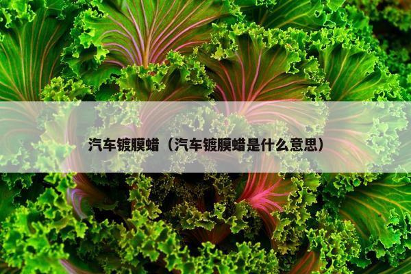 汽车镀膜蜡（汽车镀膜蜡是什么意思）