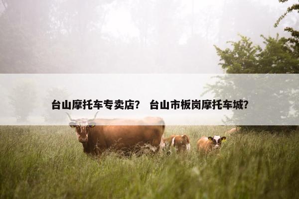 台山摩托车专卖店？ 台山市板岗摩托车城？