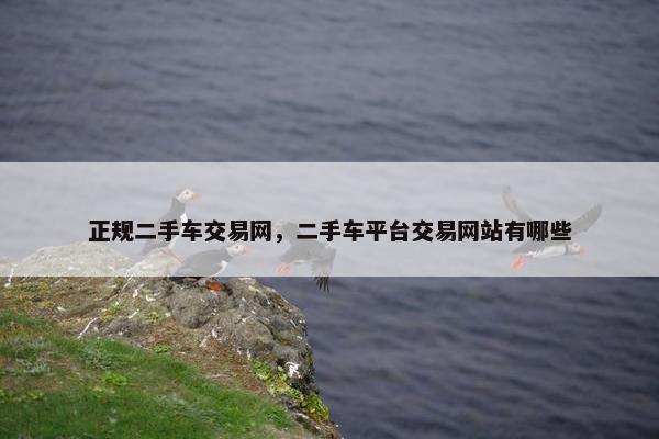 正规二手车交易网，二手车平台交易网站有哪些