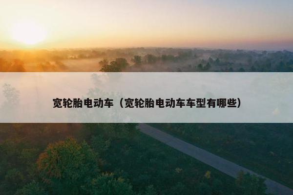 宽轮胎电动车（宽轮胎电动车车型有哪些）