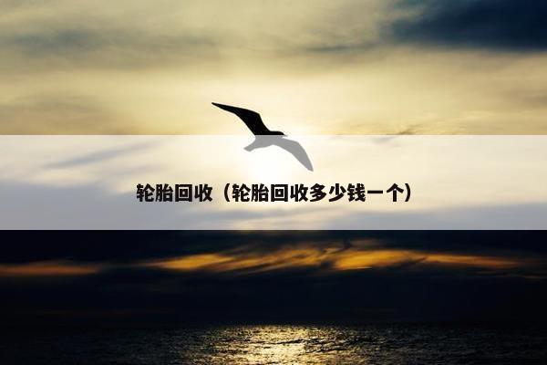 轮胎回收（轮胎回收多少钱一个）