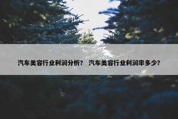 汽车美容行业利润分析？ 汽车美容行业利润率多少？