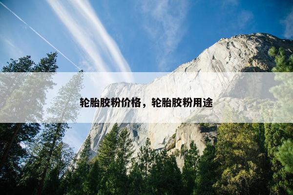 轮胎胶粉价格，轮胎胶粉用途