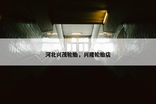 河北兴茂轮胎，兴隆轮胎店