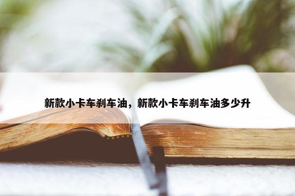 新款小卡车刹车油，新款小卡车刹车油多少升