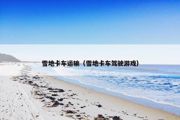 雪地卡车运输（雪地卡车驾驶游戏）