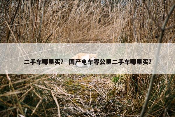 二手车哪里买？ 国产电车零公里二手车哪里买？