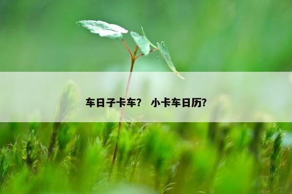 车日子卡车？ 小卡车日历？
