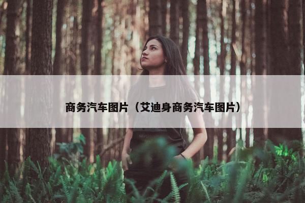 商务汽车图片（艾迪身商务汽车图片）