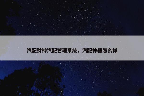 汽配财神汽配管理系统，汽配神器怎么样