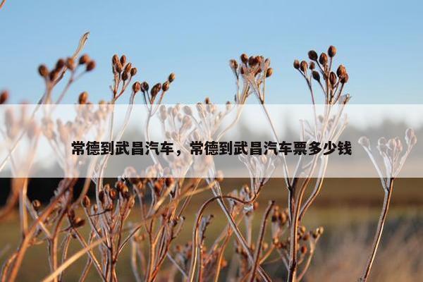 常德到武昌汽车，常德到武昌汽车票多少钱