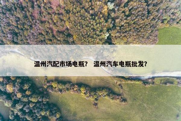 温州汽配市场电瓶？ 温州汽车电瓶批发？