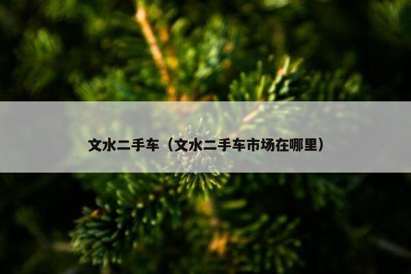 文水二手车（文水二手车市场在哪里）