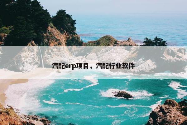 汽配erp项目，汽配行业软件