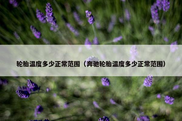 轮胎温度多少正常范围（奔驰轮胎温度多少正常范围）