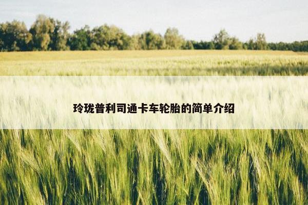 玲珑普利司通卡车轮胎的简单介绍