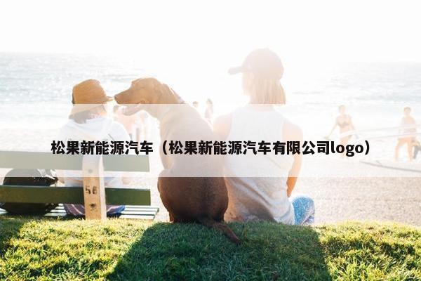 松果新能源汽车（松果新能源汽车有限公司logo）