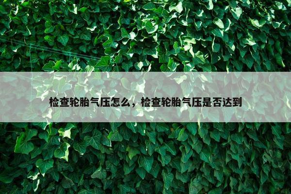 检查轮胎气压怎么，检查轮胎气压是否达到