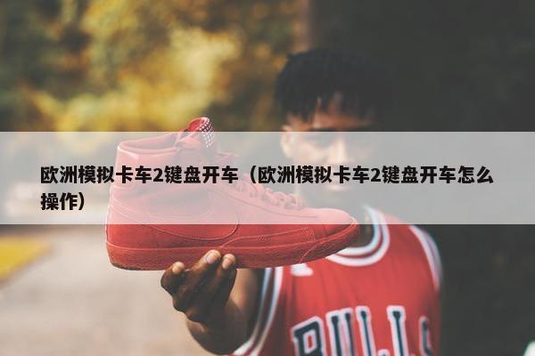 欧洲模拟卡车2键盘开车（欧洲模拟卡车2键盘开车怎么操作）
