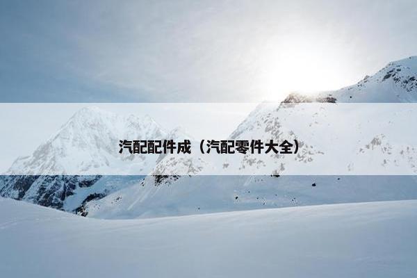 汽配配件成（汽配零件大全）