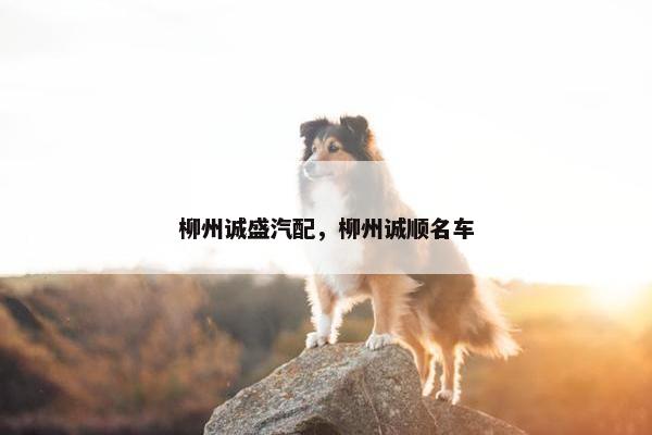 柳州诚盛汽配，柳州诚顺名车