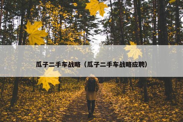 瓜子二手车战略（瓜子二手车战略应聘）
