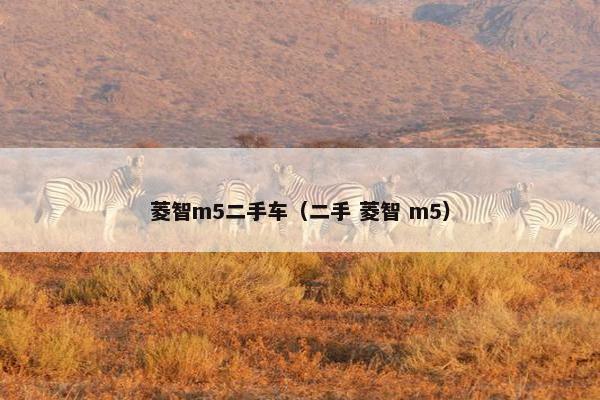 菱智m5二手车（二手 菱智 m5）