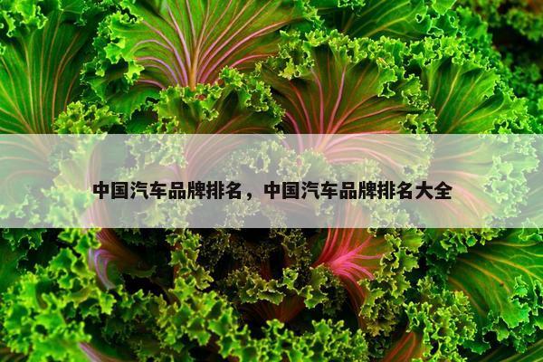中国汽车品牌排名，中国汽车品牌排名大全