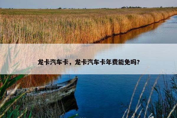 龙卡汽车卡，龙卡汽车卡年费能免吗?