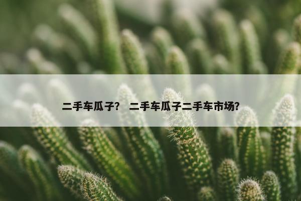 二手车瓜子？ 二手车瓜子二手车市场？