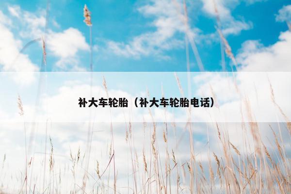 补大车轮胎（补大车轮胎电话）