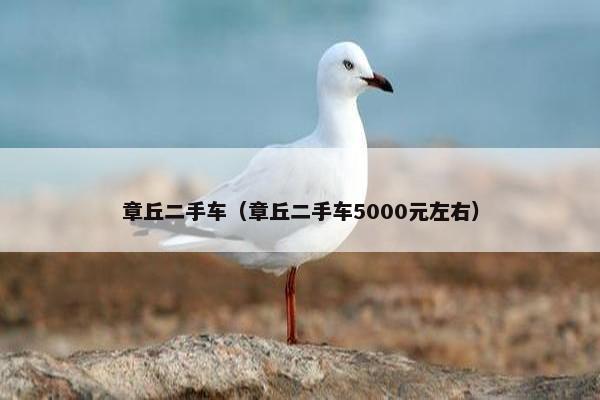 章丘二手车（章丘二手车5000元左右）