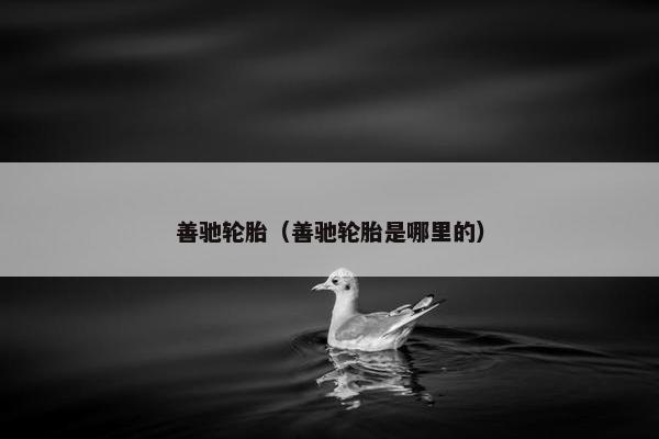 善驰轮胎（善驰轮胎是哪里的）