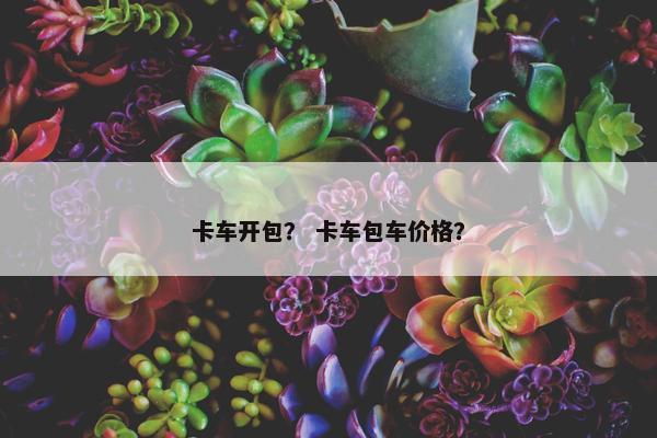 卡车开包？ 卡车包车价格？