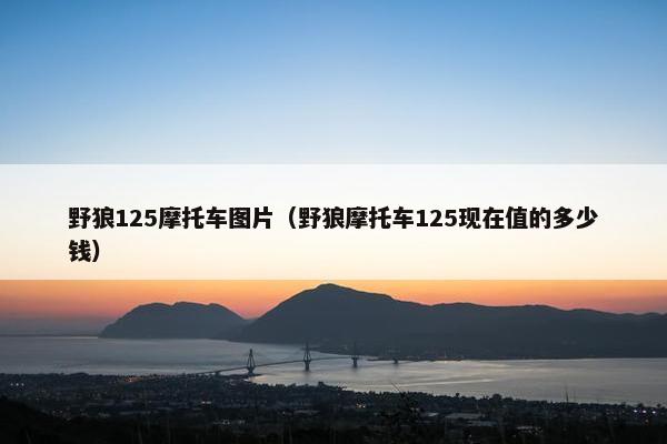 野狼125摩托车图片（野狼摩托车125现在值的多少钱）
