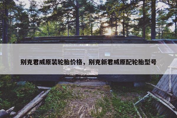 别克君威原装轮胎价格，别克新君威原配轮胎型号