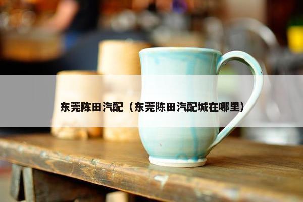 东莞陈田汽配（东莞陈田汽配城在哪里）