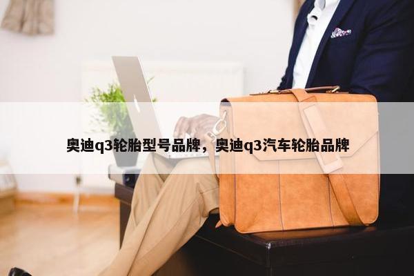 奥迪q3轮胎型号品牌，奥迪q3汽车轮胎品牌
