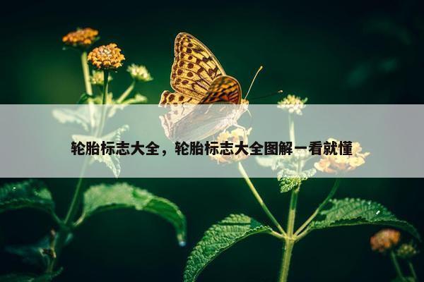 轮胎标志大全，轮胎标志大全图解一看就懂