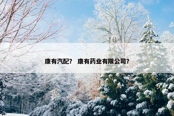 康有汽配？ 康有药业有限公司？