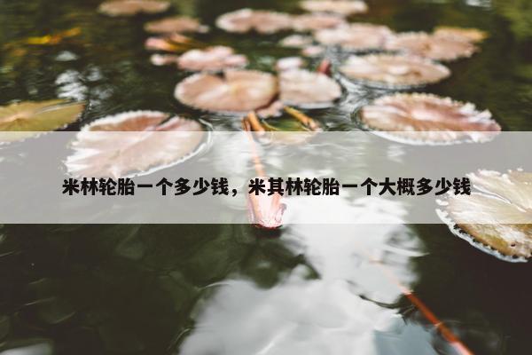 米林轮胎一个多少钱，米其林轮胎一个大概多少钱