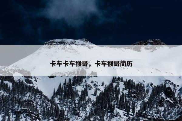 卡车卡车猴哥，卡车猴哥简历