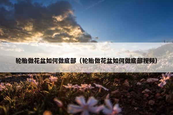 轮胎做花盆如何做底部（轮胎做花盆如何做底部视频）