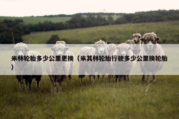 米林轮胎多少公里更换（米其林轮胎行驶多少公里换轮胎）